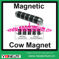 Magnetic Cow Magnet